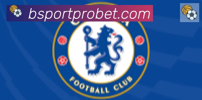 Bsports官网合作伙伴